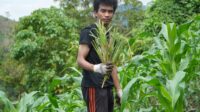 IMG-20260518-WA0051(1)